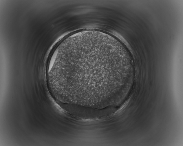 X0000084530939200703231649