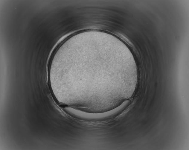 X0000084530940200703231649