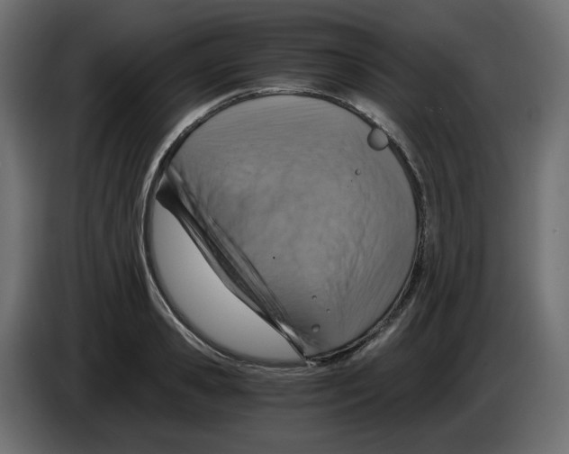 X0000084530941200703231649