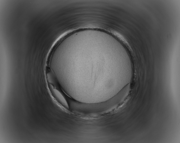 X0000084530942200703231649