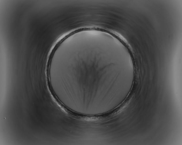 X0000084530943200703231649