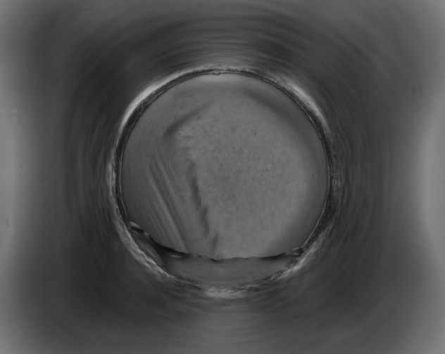 X0000084530944200703231649