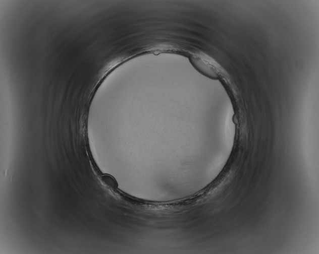 X0000084530945200703231649