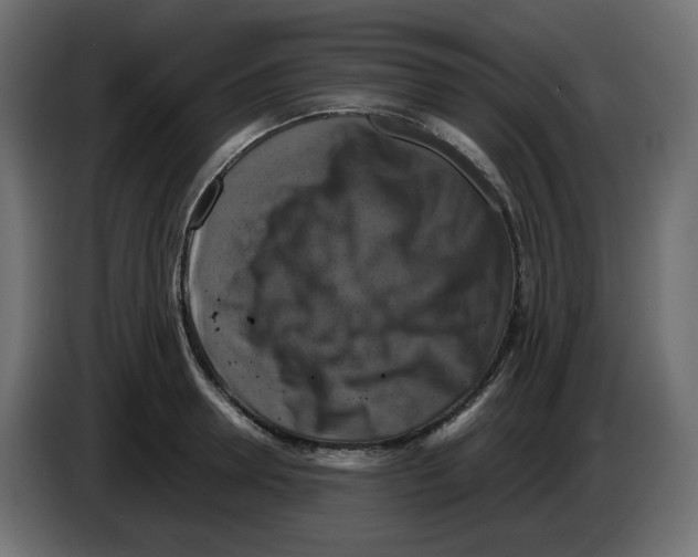 X0000084530946200703231649