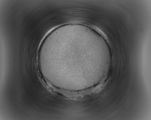 X0000084530948200703231649