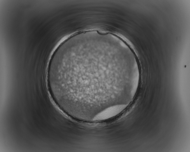 X0000084530949200703231649