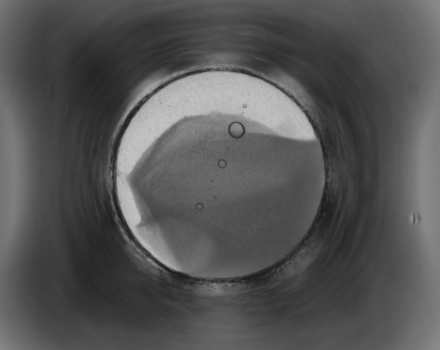 X0000084530950200703231649
