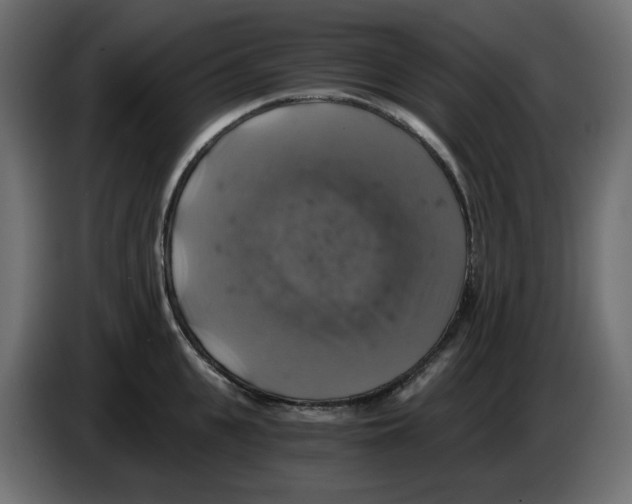 X0000084530951200703231649