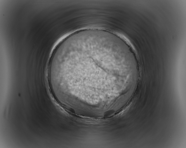 X0000084530952200703231649