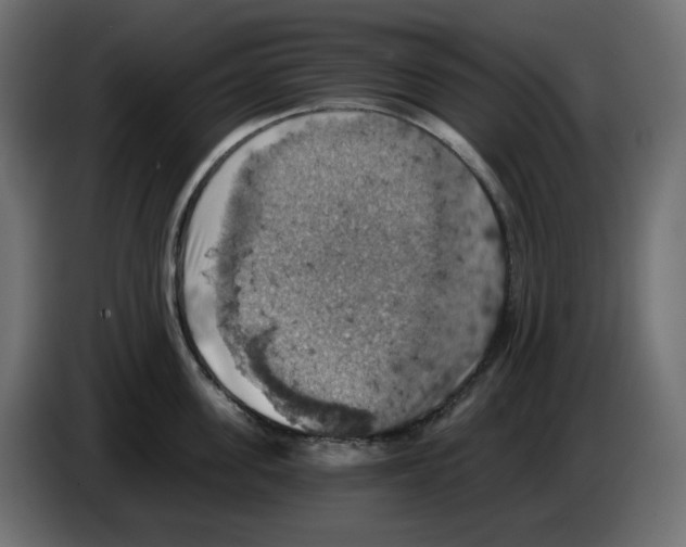 X0000084530955200703231649