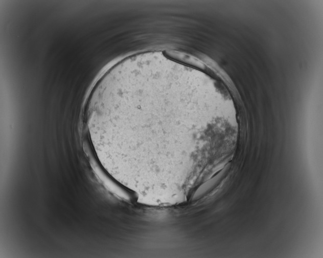 X0000084530956200703231649