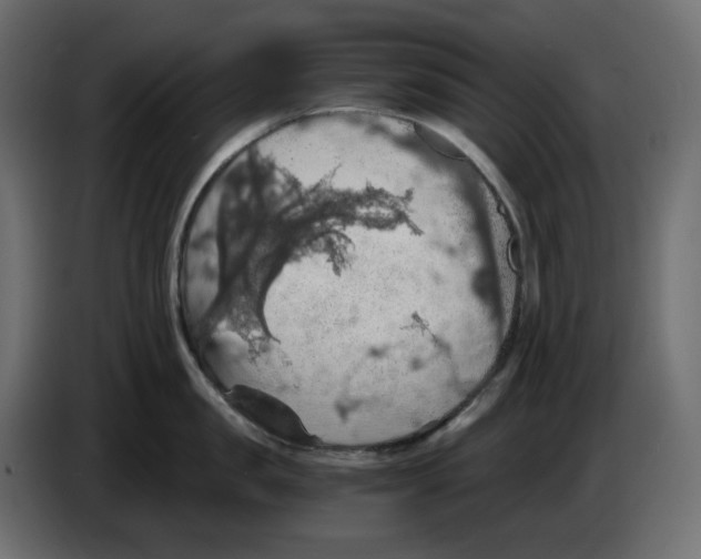 X0000084530957200703231649
