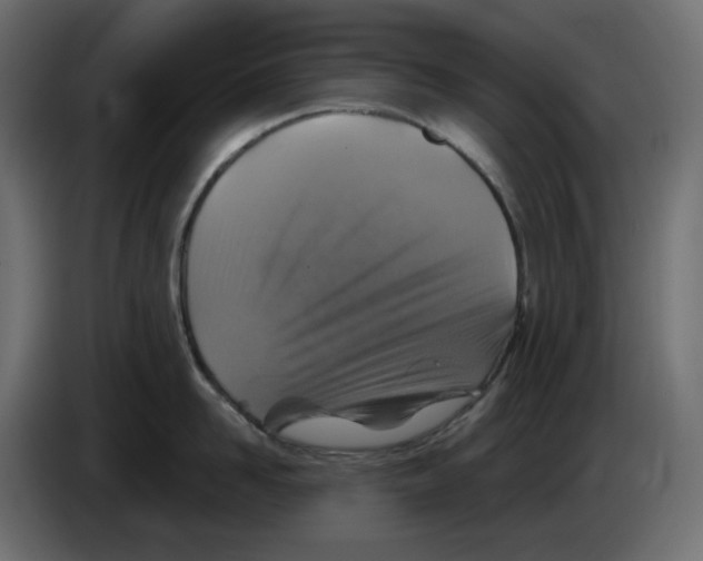 X0000084530958200703231649