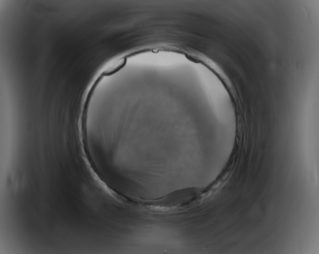 X0000084530959200703231650