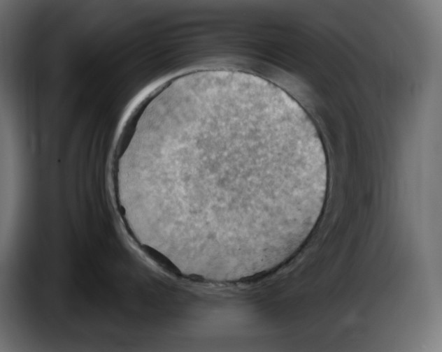 X0000084530960200703231650