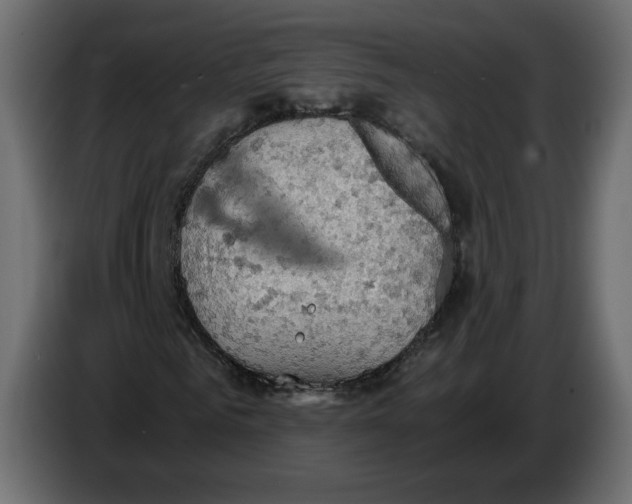 X0000084530961200703231649