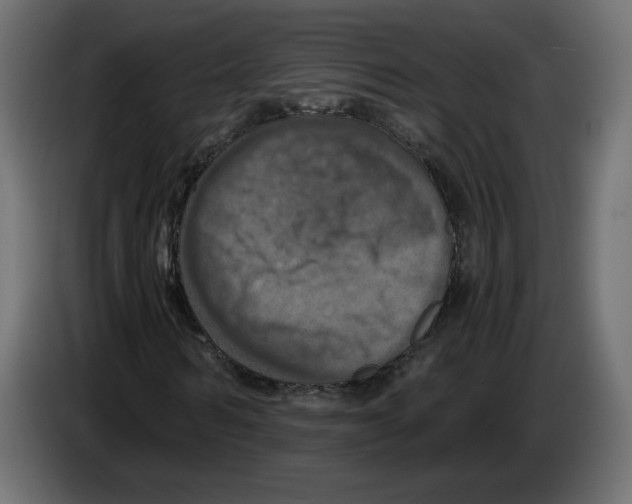 X0000084530962200703231649