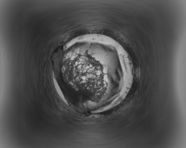 X0000084530963200703231649