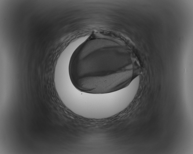 X0000084530965200703231649