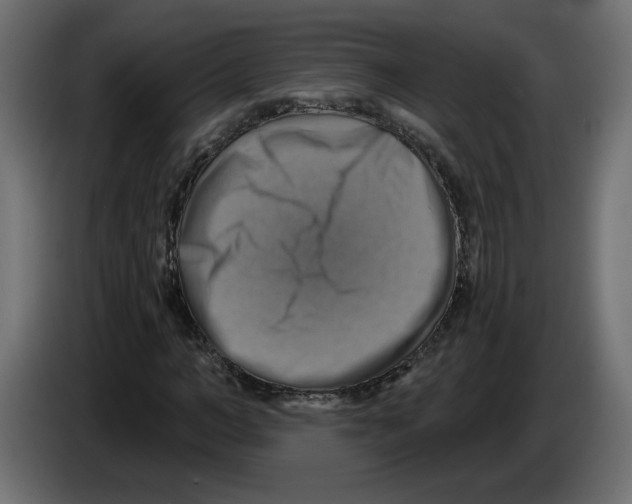 X0000084530966200703231649