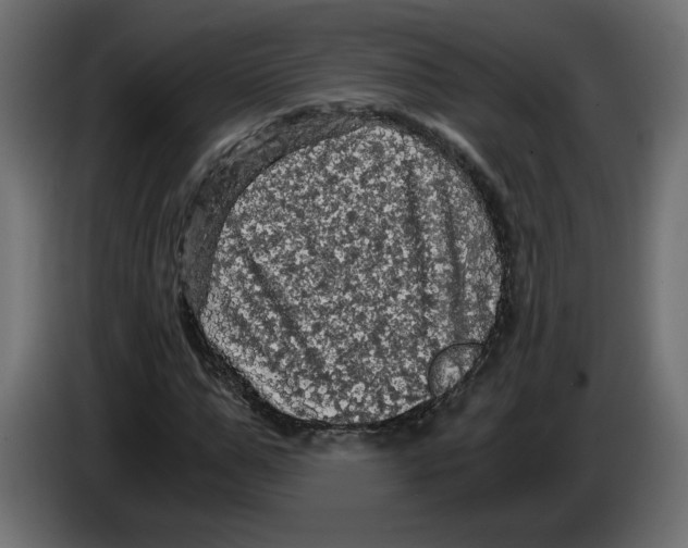 X0000084530967200703231649