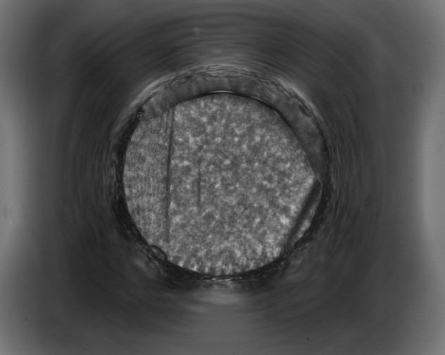 X0000084530968200703231649