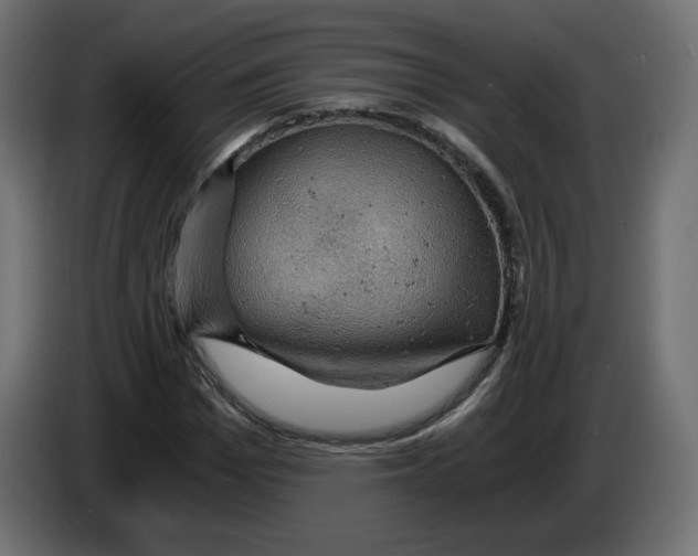 X0000084530969200703231649