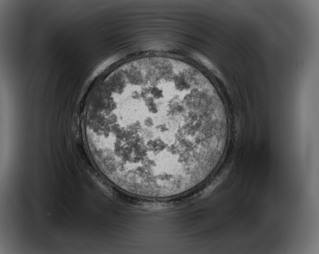 X0000084530970200703231649
