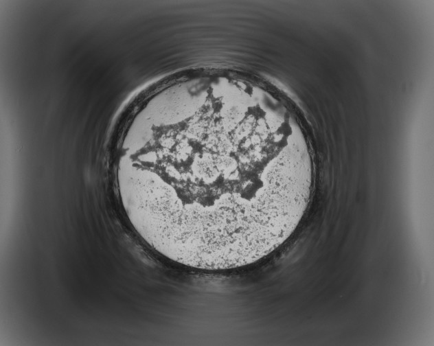X0000084530971200703231649