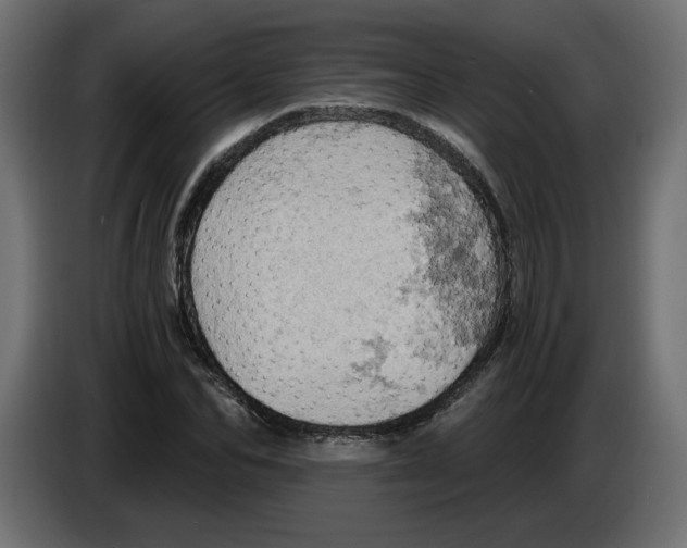 X0000084530974200703231649