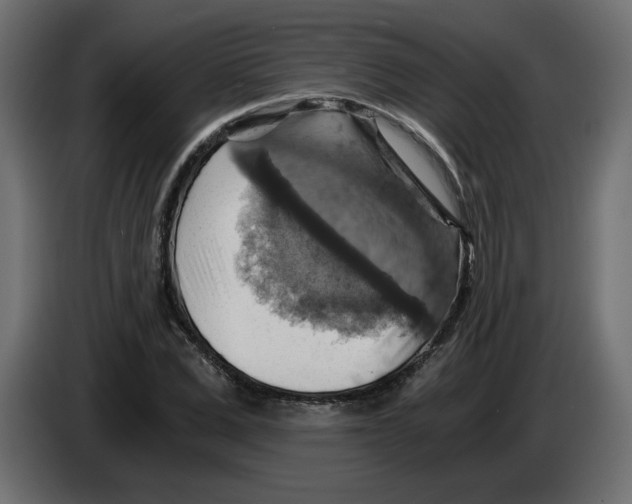 X0000084530975200703231649