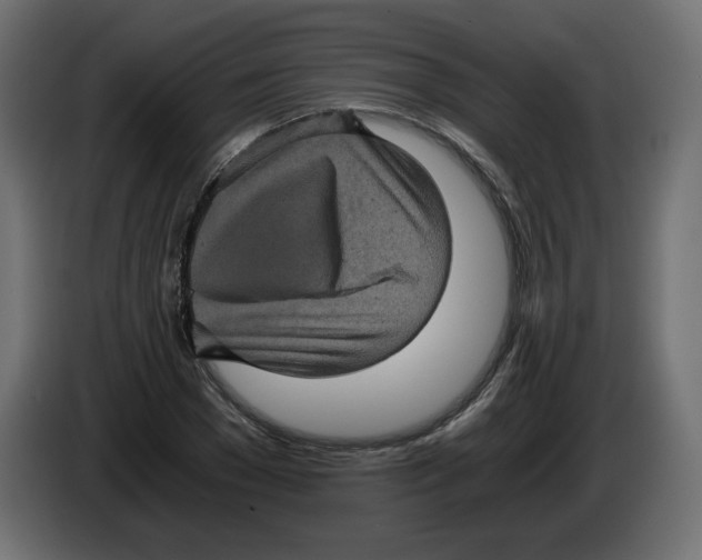 X0000084530977200703231649