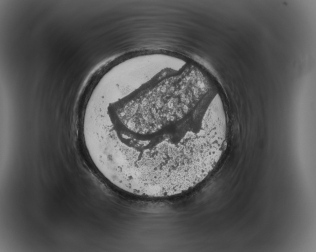 X0000084530979200703231649