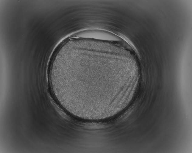 X0000084530980200703231649