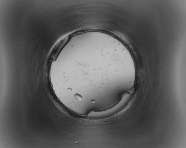 X0000084530981200703231649