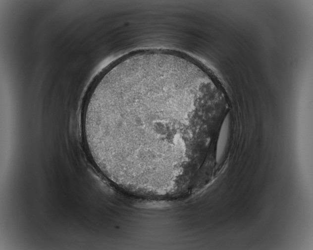 X0000084530982200703231649