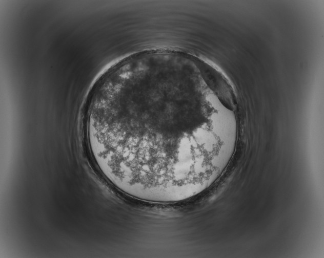 X0000084530983200703231649