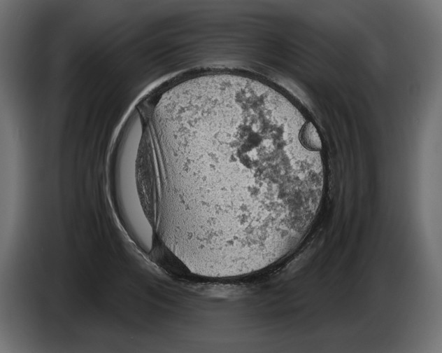 X0000084530984200703231649