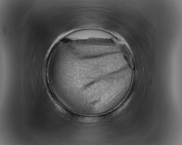 X0000084530989200703231648