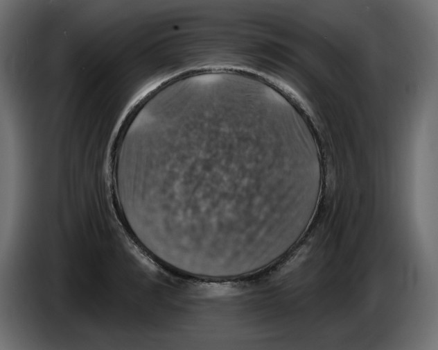 X0000084530990200703231648