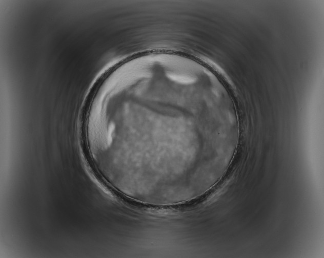 X0000084530991200703231648