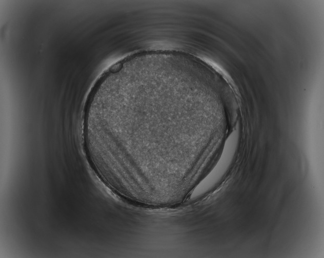X0000084530992200703231648