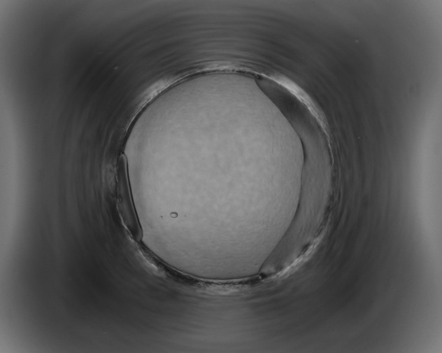 X0000084530993200703231648