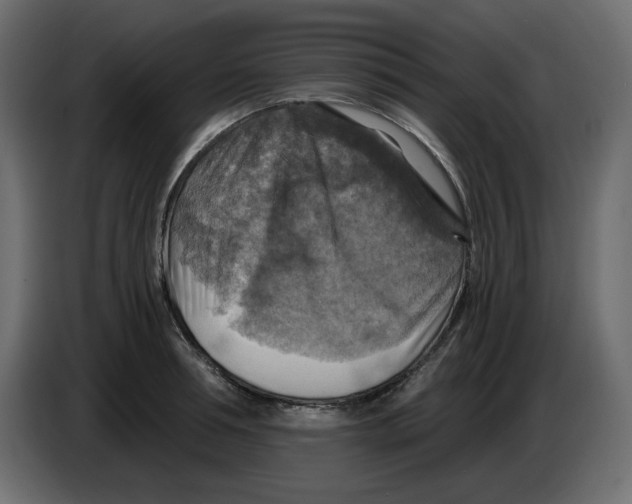 X0000084530994200703231648