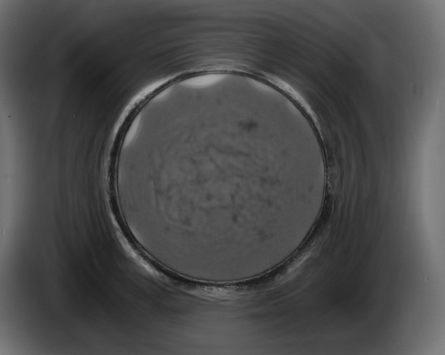 X0000084530995200703231648