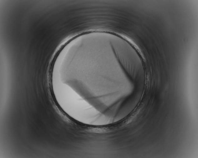 X0000084530998200703231648