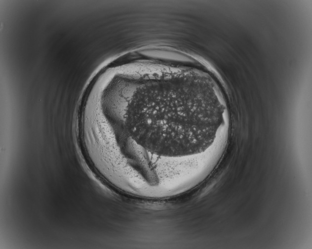 X0000084530999200703231648