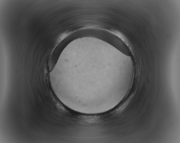 X0000084531001200703231648