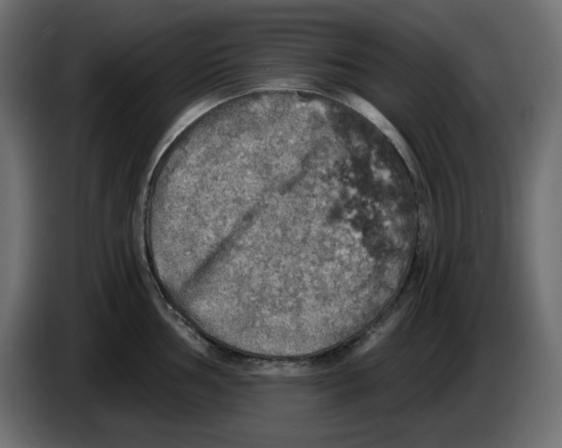 X0000084531002200703231648