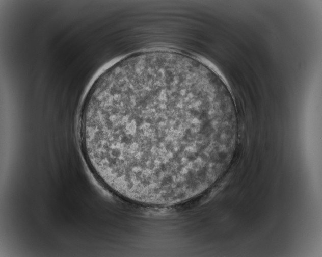 X0000084531003200703231648